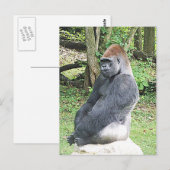Lowland Gorilla in Sitting Pose Briefkaart (Voorkant / Achterkant)