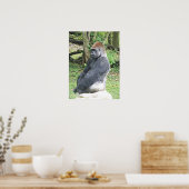 Lowland Gorilla in Sitting Pose Poster (Keuken)