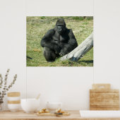 Lowland Gorilla Poster (Keuken)