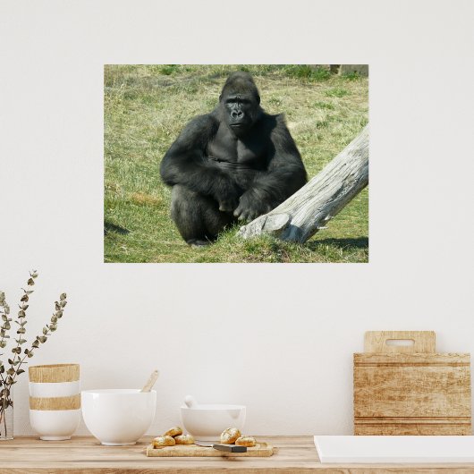 Lowland Gorilla Poster (Keuken)