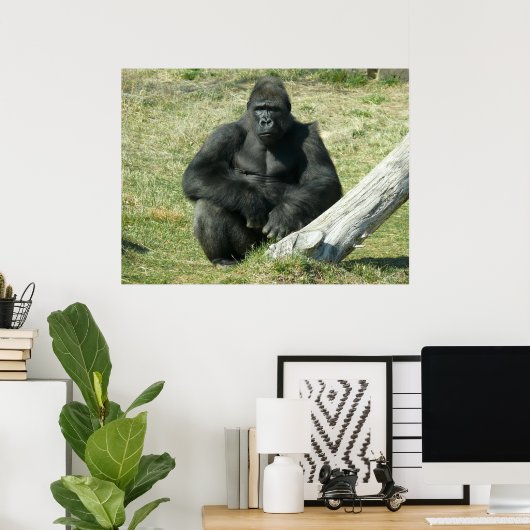 Lowland Gorilla Poster (Thuiskantoor)