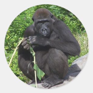 Lowland Gorilla Ronde Sticker