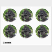 Lowland Gorilla Ronde Sticker (Vel)