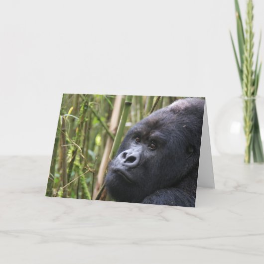 Lowland Gorilla Wenskaart Kaart (Voorkant)