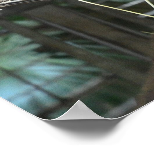 Lowland Gorillas Napping Poster (Hoek)