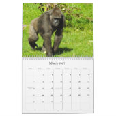 Lowland Gorillas van de dierentuin van de stad Kan Kalender (Mar 2027)