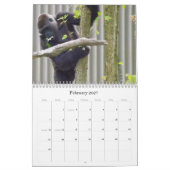 Lowland Gorillas van de dierentuin van de stad Kan Kalender (Feb 2027)