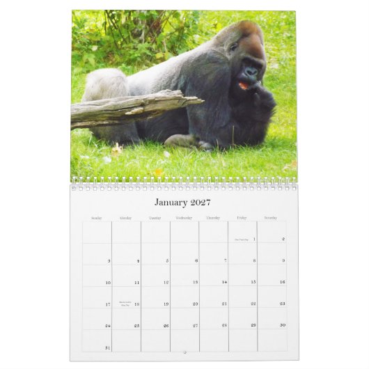 Lowland Gorillas van de dierentuin van de stad Kan Kalender (Jan 2027)