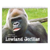 Lowland Gorillas van de dierentuin van de stad Kan Kalender (Hoes)