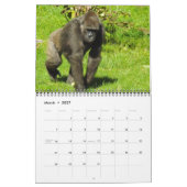 Lowland Gorillas van de dierentuin van de stad Kan Kalender (Mar 2027)