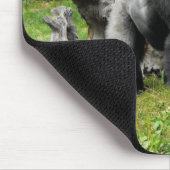 Lowland silverback gorilla lopend muismat (Hoek)