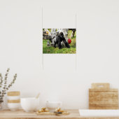 Lowland silverback gorilla poster (Keuken)