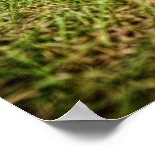 Lowmaster Rat Truck Poster (Hoek)