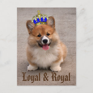 Loyal and Royal Corgi Puppy Briefkaart