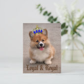 Loyal and Royal Corgi Puppy Briefkaart (Staand voorkant)