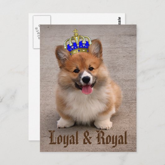 Loyal and Royal Corgi Puppy Briefkaart (Voorkant / Achterkant)