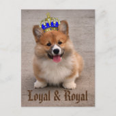 Loyal and Royal Corgi Puppy Briefkaart (Voorkant)