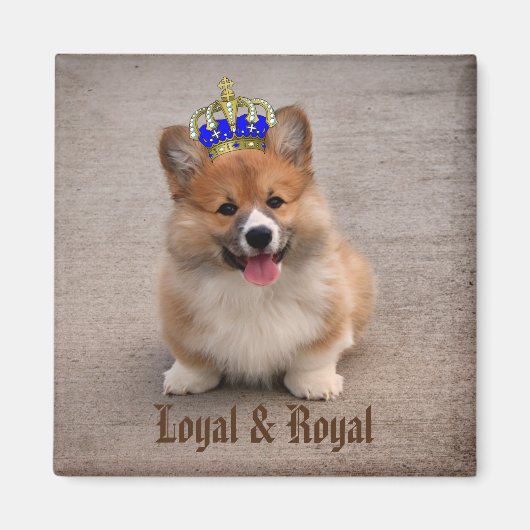 Loyal and Royal Corgi Puppy Magneet (Voorkant)