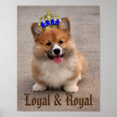 Loyal and Royal Corgi Puppy Poster (Voorkant)