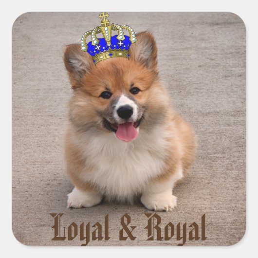 Loyal and Royal Corgi Puppy Vierkante Sticker (Voorkant)