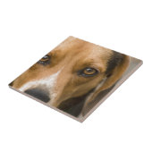 Loyal Beagle Hound Hunting Dog Tegeltje (Zijkant)