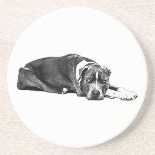 Loyal Companion Pitbull Mix Art Onderzetter