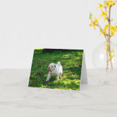 Loyal Companions: Shar-pei Kaart (Gele Bloem)