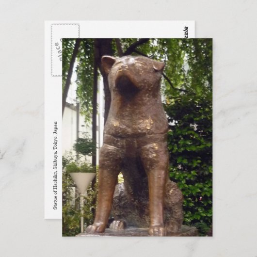 loyal hachiko briefkaart (Voorkant / Achterkant)