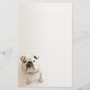 Loyal White Bulldog Lined Writing paper Briefpapier