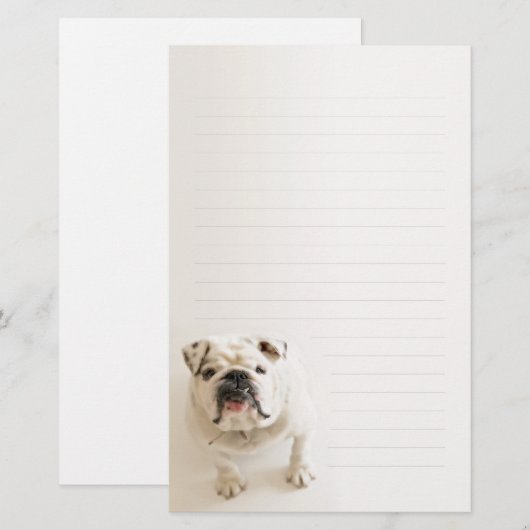 Loyal White Bulldog Lined Writing paper Briefpapier (Voorkant / Achterkant)