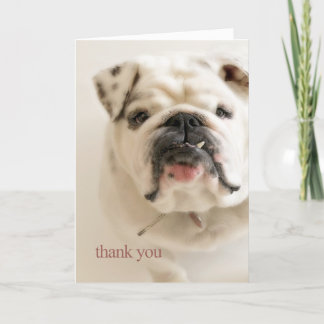 Loyal White Bulldog Thank You Bedankkaart