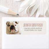Loyale White Bulldog retour adreslabels Etiket (Insitu)