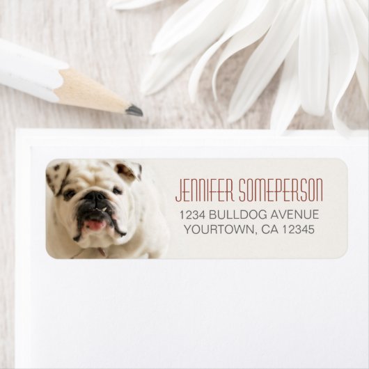 Loyale White Bulldog retour adreslabels Etiket (Insitu)