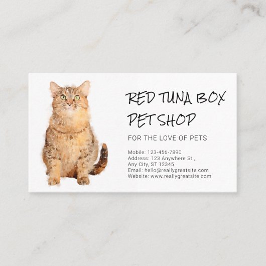 Loyalty-kaarten voor katten met Oranje katten- Visitekaartje (Voorkant)