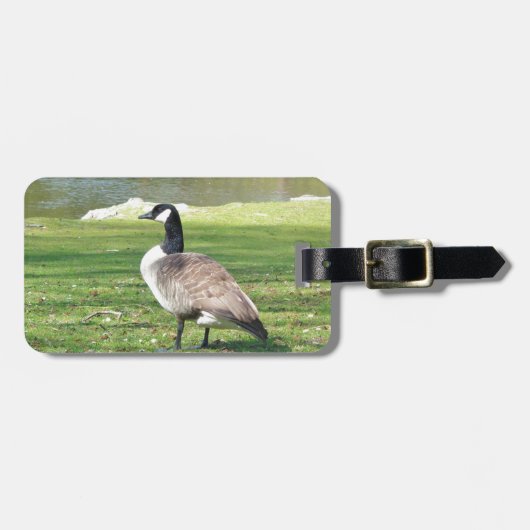 Lozen aan de voorkant, Wilde Levensdieren, Natuur Bagagelabel (Voorkant horizontaal)