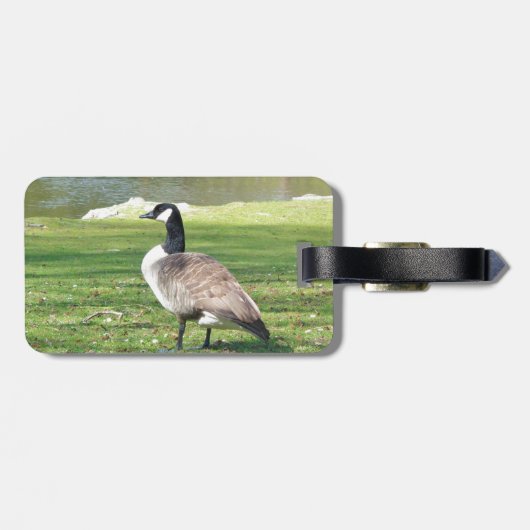 Lozen aan de voorkant, Wilde Levensdieren, Natuur Bagagelabel (Achterkant horizontaal)