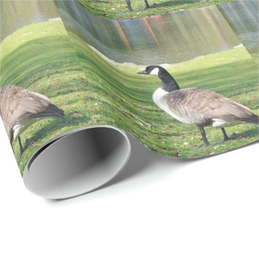 Lozen aan de voorkant, Wilde Levensdieren, Natuur Cadeaupapier (Rol Hoek)