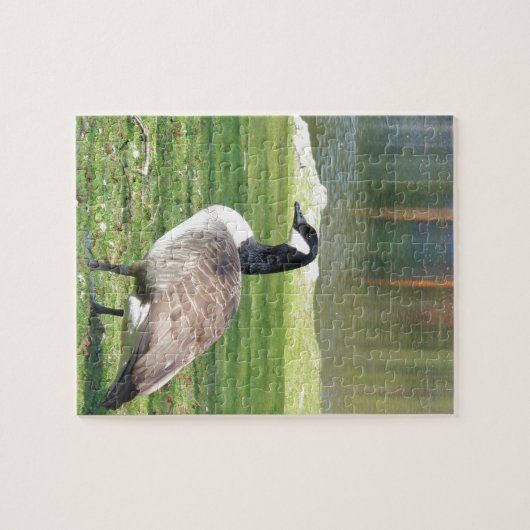 Lozen aan de voorkant, Wilde Levensdieren, Natuur Legpuzzel (Horizontaal)