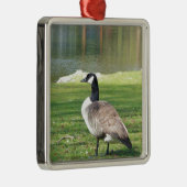 Lozen aan de voorkant, Wilde Levensdieren, Natuur Metalen Ornament (Rechts)