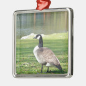 Lozen aan de voorkant, Wilde Levensdieren, Natuur Metalen Ornament (Links)