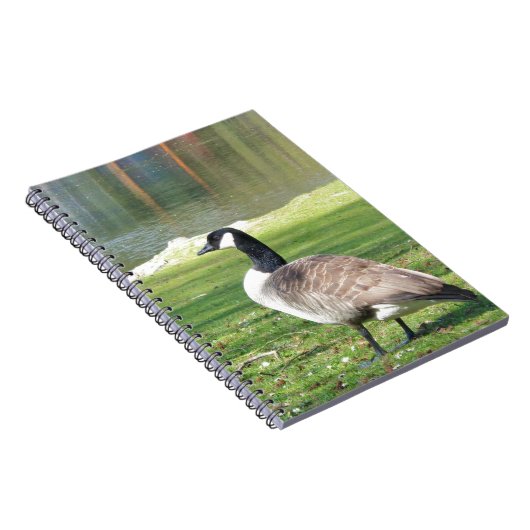 Lozen aan de voorkant, Wilde Levensdieren, Natuur Notitieboek (Rechterzijde)