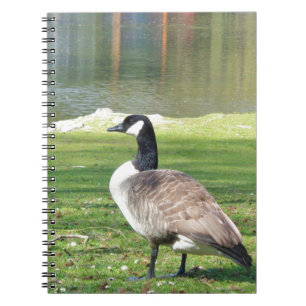 Lozen aan de voorkant, Wilde Levensdieren, Natuur Notitieboek