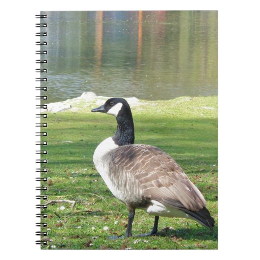 Lozen aan de voorkant, Wilde Levensdieren, Natuur Notitieboek (Voorkant)