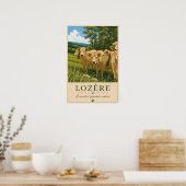 Lozère-koeien Poster (Keuken)