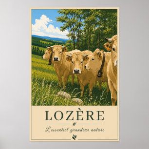 Lozère-koeien Poster
