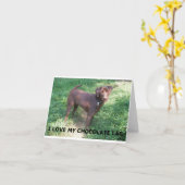 LR chocolade lab liefde met foto Kaart (Gele Bloem)
