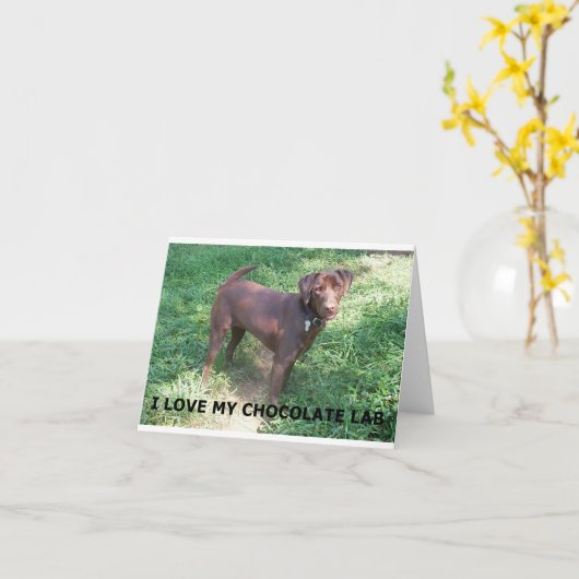 LR chocolade lab liefde met foto Kaart (Gele Bloem)