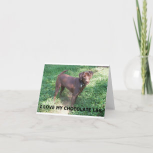 LR chocolade labrador liefde met foto Kaart