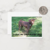 LR chocolade labrador liefde met foto Notitiekaartje (Voorkant / Achterkant in situ)