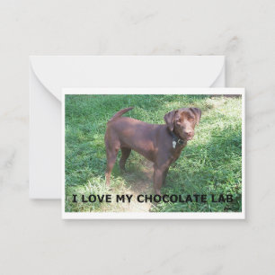 LR chocolade labrador liefde met foto Notitiekaartje